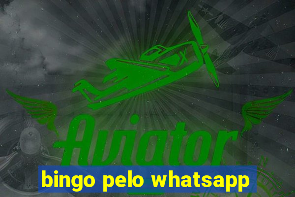 bingo pelo whatsapp